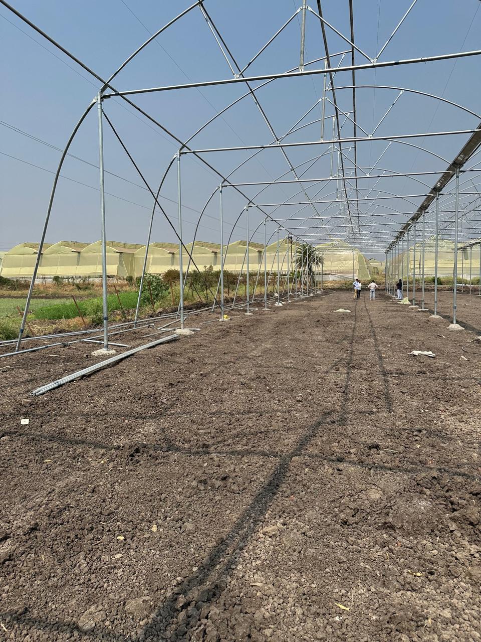 Greenhouse Project 78